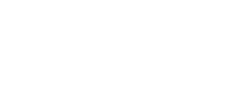 Palmetto State Armory